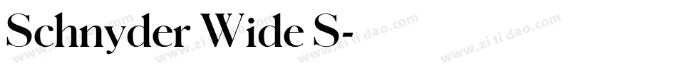 Schnyder Wide S字体转换